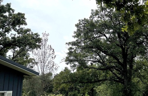 Columbia Cabin | Secluded get away located in South Central Iowa surrounded by oak woods.