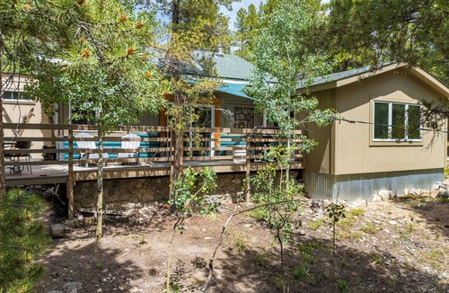 Black Hawk Cabin | Secluded Gorgeous Cabin-Hike-steps away from Roosevelt National Forest. Gnomes
