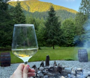 Marblemount House | Secluded North Cascades Retreat Private Trail Fire Pit