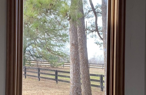 Flower Mound House | Secluded Oasis with Pool & Hot Tub. 5 minute walk to the lake.