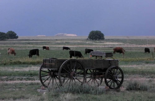 Rocky Ford Cabin | Secluded Rustic Cabin Rental on Cattle Ranch near Lake Pueblo State Park, Colorado