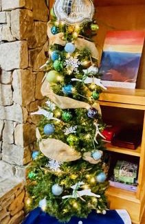 Townsend Ski Chalet | Serendipity
