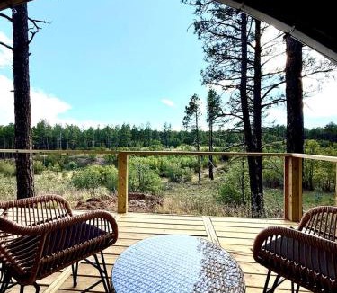 McIntosh Other | Serene Glamping Retreat with Apple Orchards and Farm Animals near Quarai Ruins in Torreon, New Mexico