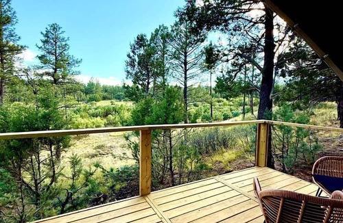 McIntosh RV Rental | Serene Glamping Retreat with Apple Orchards and Farm Animals near Quarai Ruins in Torreon, New Mexico