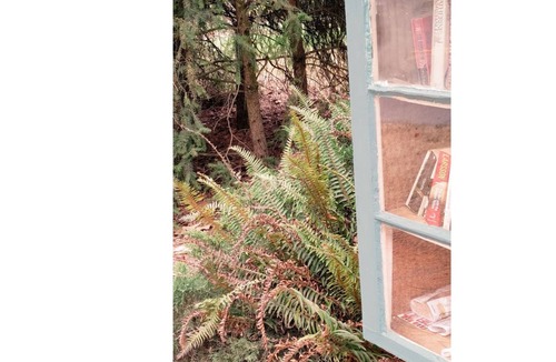 Seattle Metro Area Cottage | Seward Park Wisteria Cottage