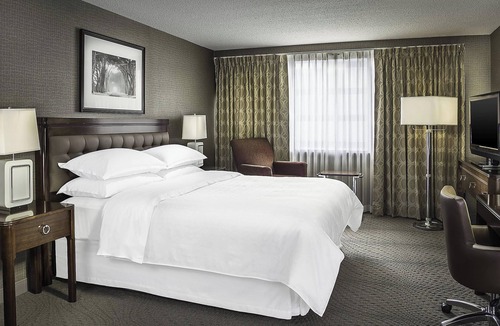 Business District Hotel | Sheraton Oklahoma City Downtown Hotel