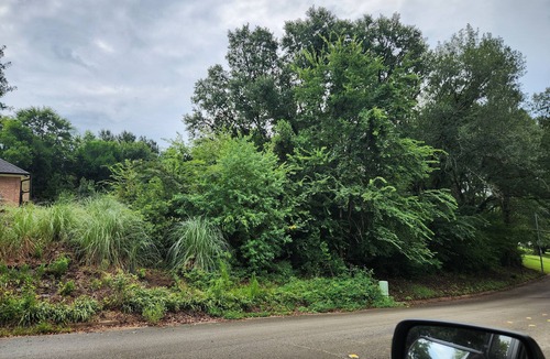 Nacogdoches Apartment | Single Bedroom/Bath in lovely Nacogdoches with Personal AC