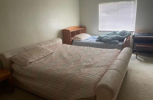 South Arlington Bed & Breakfast | South Arlington B and B