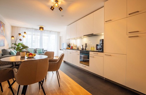 Basel City Centre Apartment | Special *EiNSTEiN II* Apartment