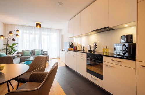 Basel City Centre Apartment | Special *EiNSTEiN II* Apartment