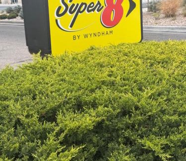 Windsor Hotel | Super 8 by Wyndham Windsor