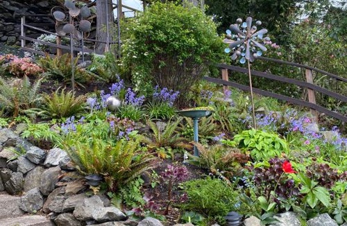 Friday Harbor Apartment | Sweet Escape & Summer Dream