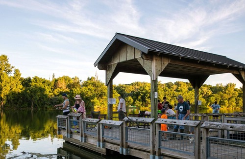 Cass County RV Rental | Tentrr State Park Site - Nebraska Louisville SRA – Cottonwood F – Single Camp