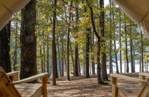 Morton RV Rental | Tentrr State Park Site - Mississippi Roosevelt State Park - Tall Trees H - Singl