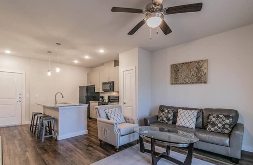 Elmo Apartment | Texas Corporate Housing Professional Apartment