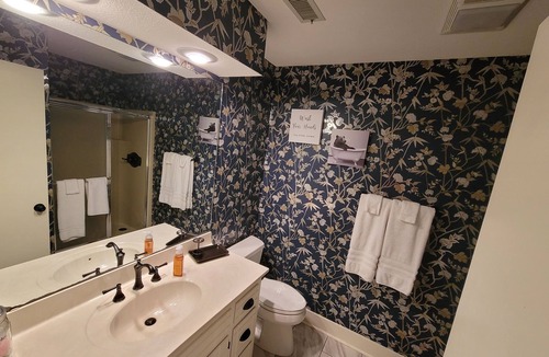 Mount Ida Resort | The "BEAR DEN" on Lake Ouachita at Mtn Harbor Resort 2BR w/many amenities