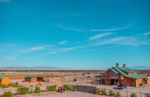 Willcox Other | The Wine Dome