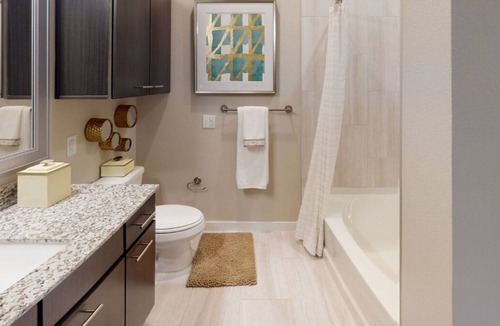 Katy Apartment | This apt located at 4th floor with lake view and 2 minutes from katy mills mall
