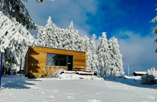 Friedrichshoehe Ski Chalet | Tiny Chalet Stuga Am Rennsteig mit Kamin und Garten, Hunde Willkommen