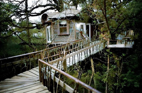 Celeste Cabin | Tree House Rental with Private Pool in Celeste, for Glamping Adventures in Texas