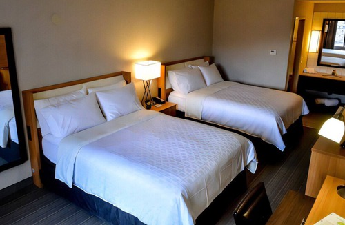 El Paso House | Ultimate Room w/ Comfort & Luxury for Families