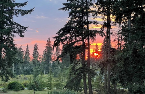Oak Harbor Apartment | Welcome to Tranquility Place, Whidbey Island