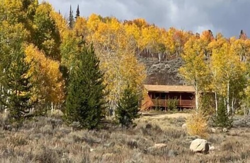 Walden House | Whistle Pig Retreat@22 West Cabins 18 miles from Walden, 80 miles from Steamboat