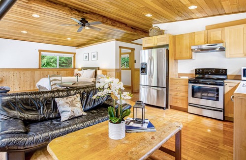 Langley Cottage | Woodsy studio with high-speed WiFi, gas fireplace, and shared grill