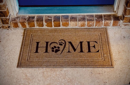 Houston House | World Cup, NRG, MED Center, NASA, & Pets Ok Retreat