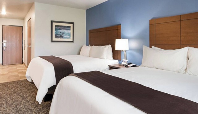 2 Pet-Friendly Rooms for a Relaxing and Enjoyable Stay | Free Parking