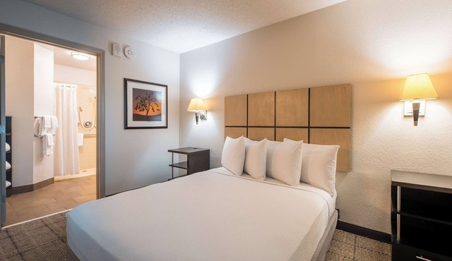 4 Contemporary Suites | Work-Friendly Area | Complimentary Coffee