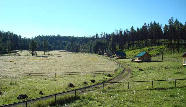 A peaceful setting for guests to relax and unwind. 18 Guest, 2 floor cabin