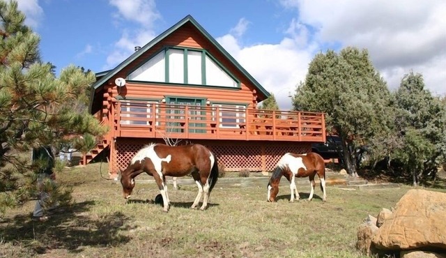 Beautiful Log Home on Five Acres with Horse Facilities!