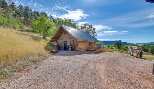 Black Hills Tiny Resort - Cabin