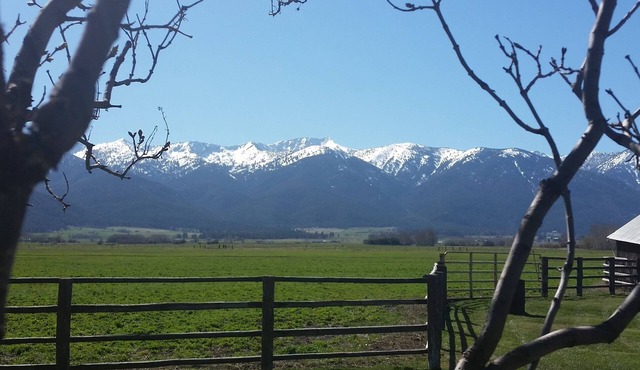 Charming Vintage Farmhouse With Spectacular Views - sleeps up to 8