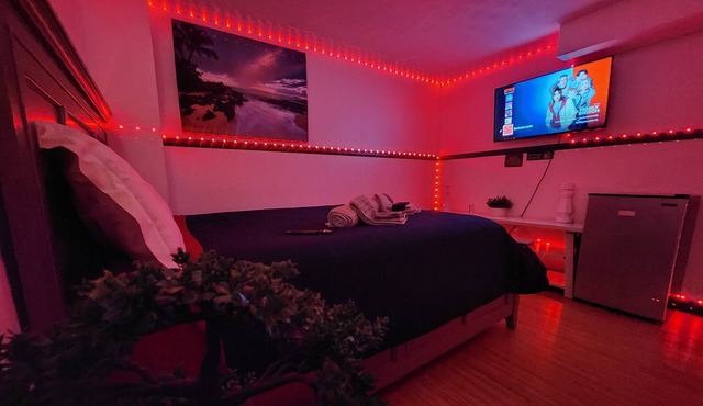 CONFORTABLE SUITE