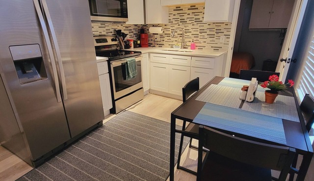 Cozy apartment in charming Denton walkable to TWU