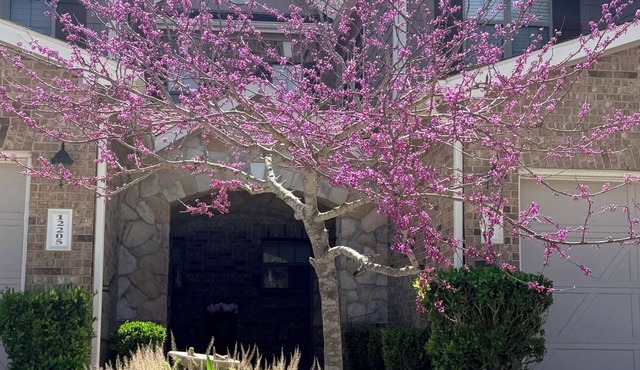 Cozy3-bedroom townhome Sleeps 6-in charming Tomball