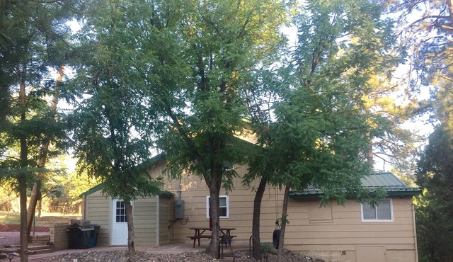 Create lasting Memories - Secluded Cabin. Sleeps 12 in Payson