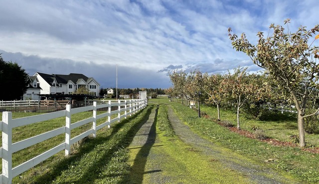 Dungeness Manor Farm in the Heart of the Dungeness Valley