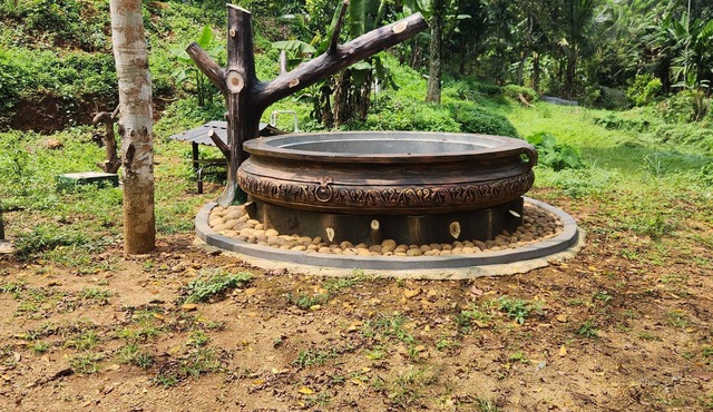 Forest home where elephants roam in Seethathode