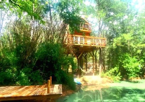 Fun for All Ages: Treehouse with Waterfront Deck for Families in Grimes County, TX