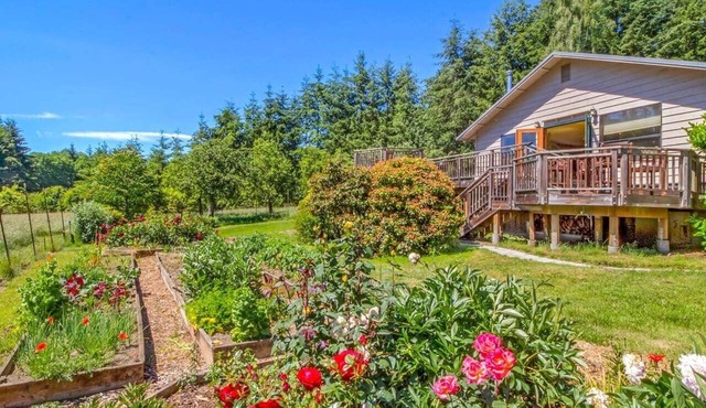 Goldeneye Farm - Orchard & Ponds
