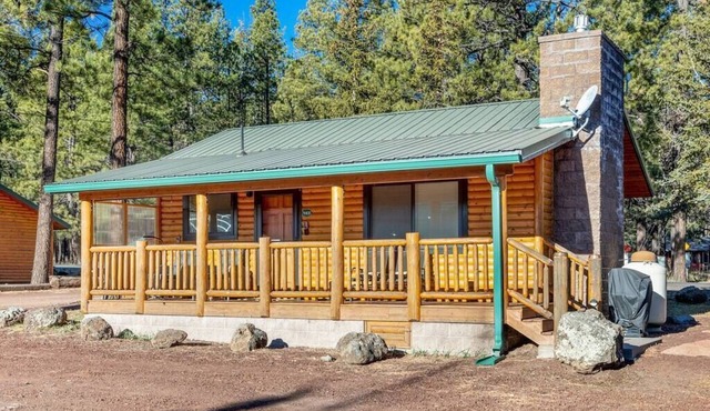 Greer Cozy Cottage (Cabin 103)
