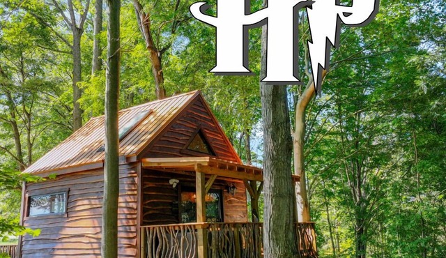 Harry Potter's Treehouse Burrow in Rockbridge