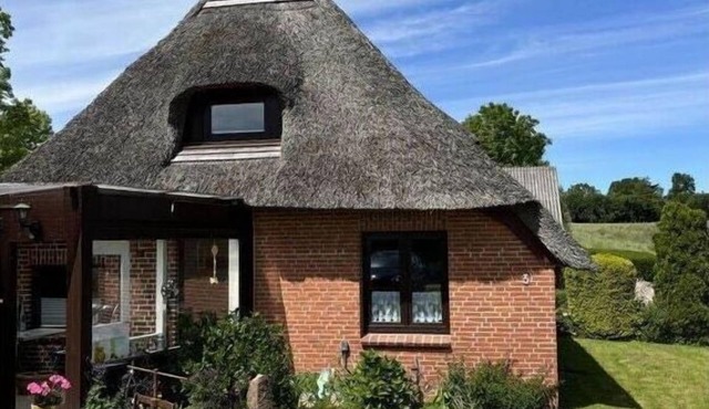 Haus Kälberstieg Comfortable holiday residence in Grebin