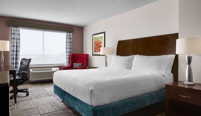 Hilton Garden Inn Denver South Park Meadows Area