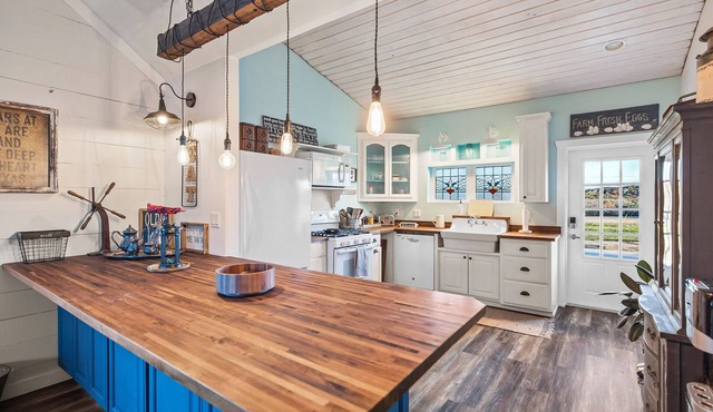 Historic 1 BR Cottage | Mountain Views | Firepit