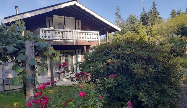 Hoh Chalet A cozy cabin on the Olympic Peninsula