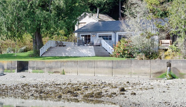 Hood Canal, 1930's Beach Cabin. 315' Cove with Oysters!